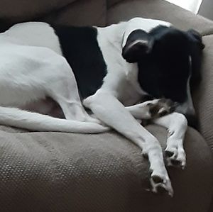 Meet your Posher, Ruth